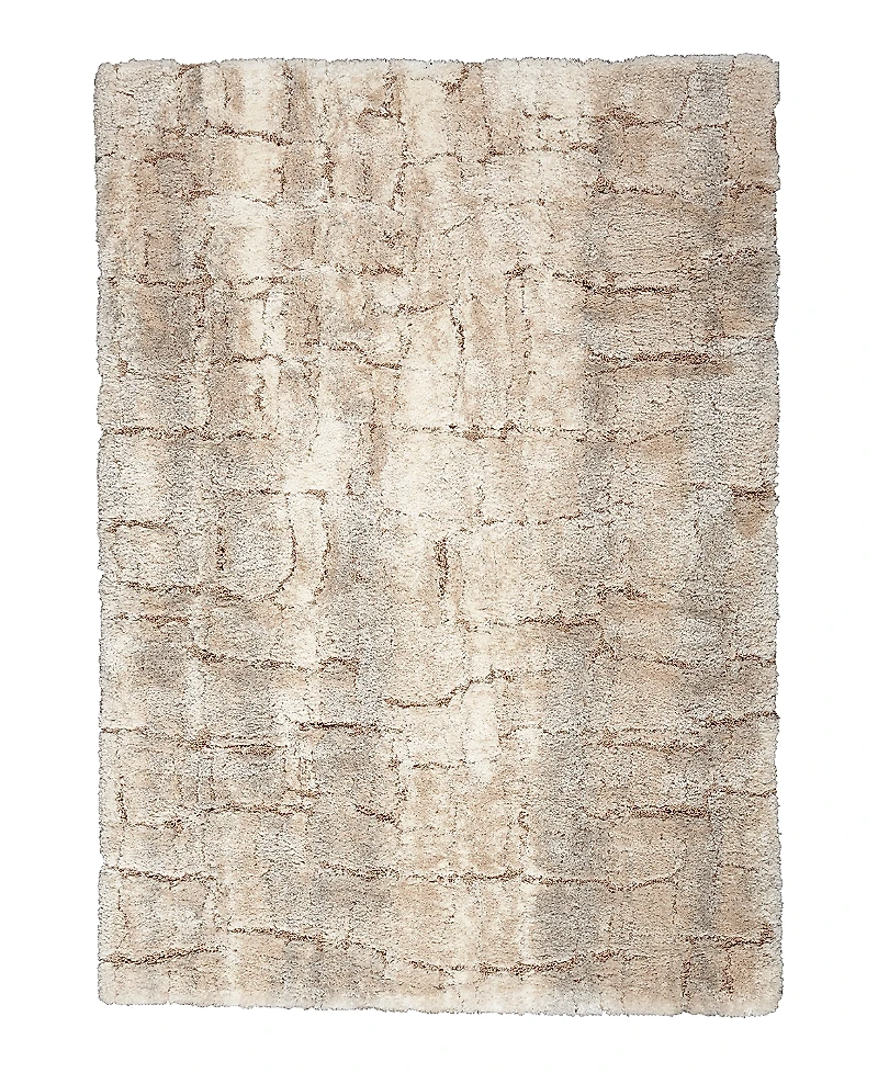 Nourison Home Dreamy Shag DRS09 Area Rug