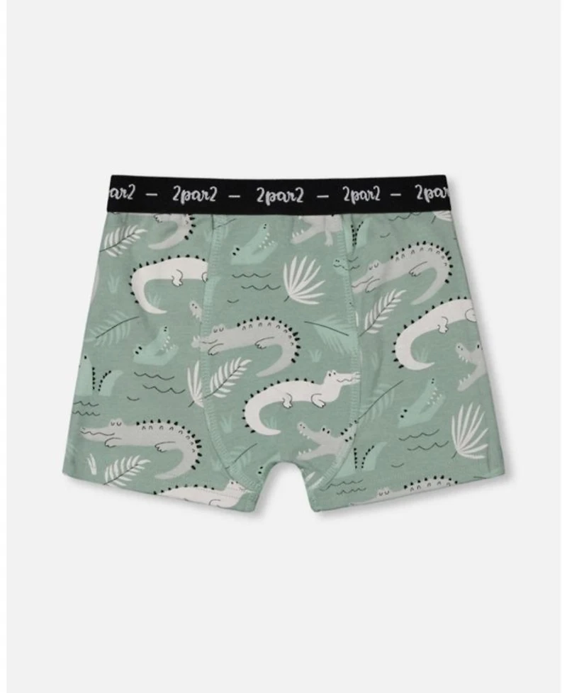 Boys' Printed Organic Cotton Boxer Shorts, Set of 3 - Little Kid