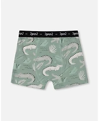 Boys' Printed Organic Cotton Boxer Shorts, Set of 3 - Little Kid