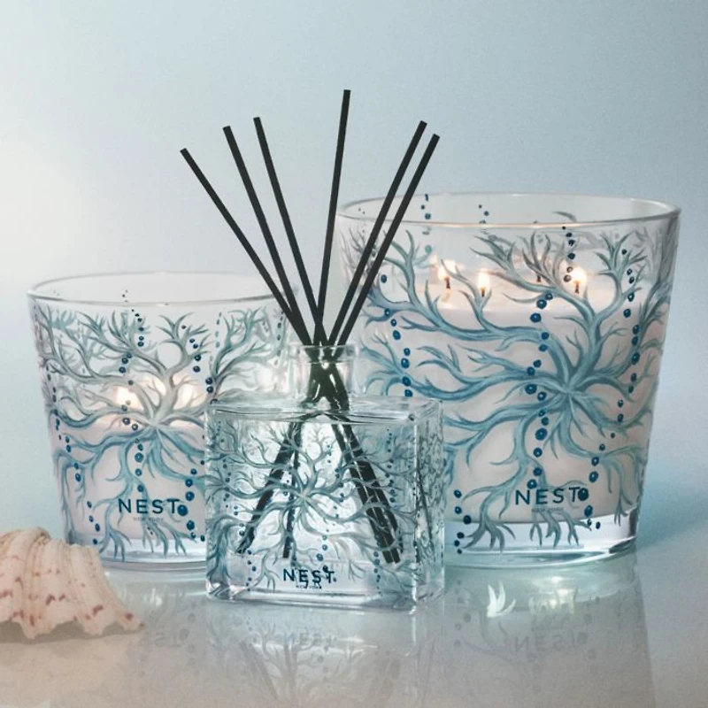 Ocean Mist & Sea Salt Collection