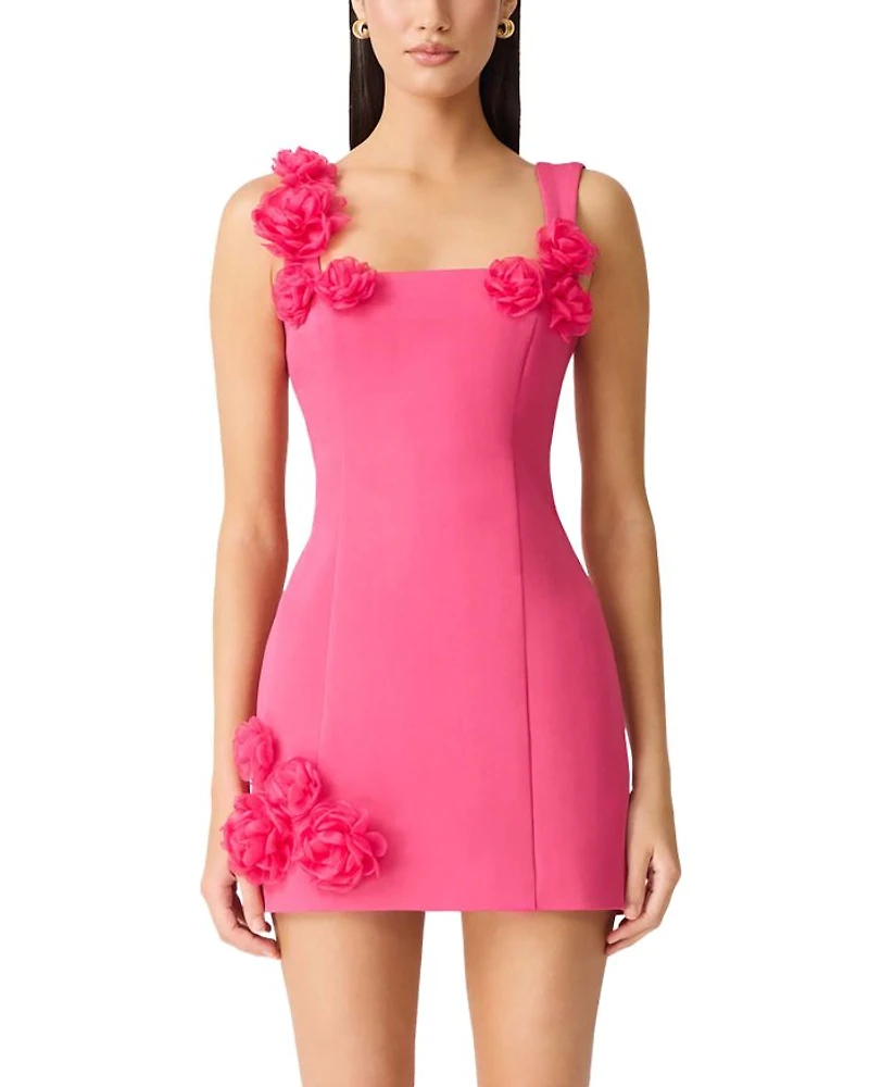 Trompe Mini Dress