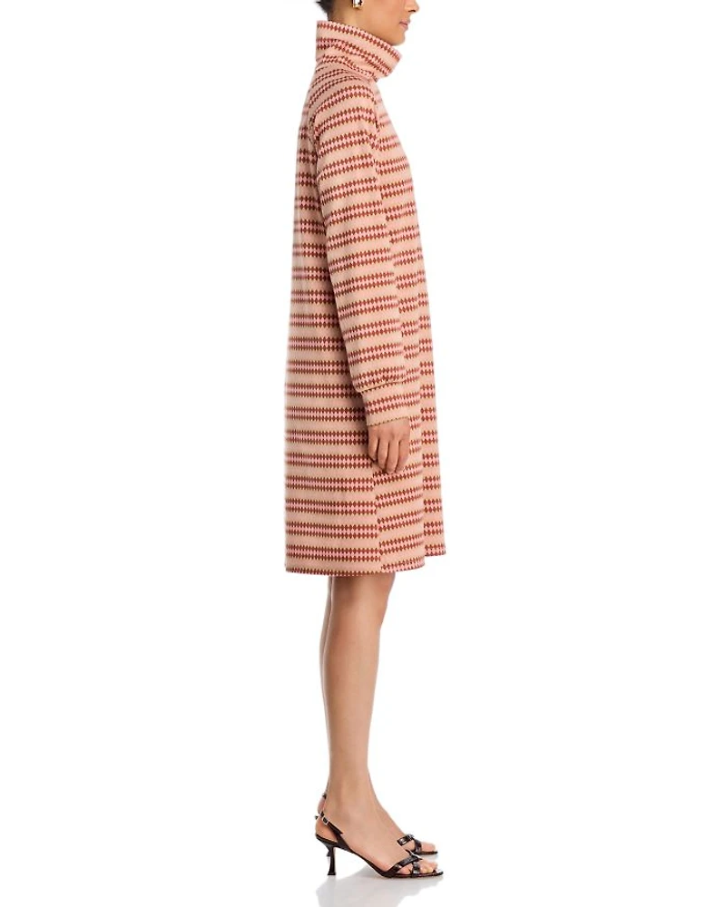 Alice Stripe Turtleneck Dress