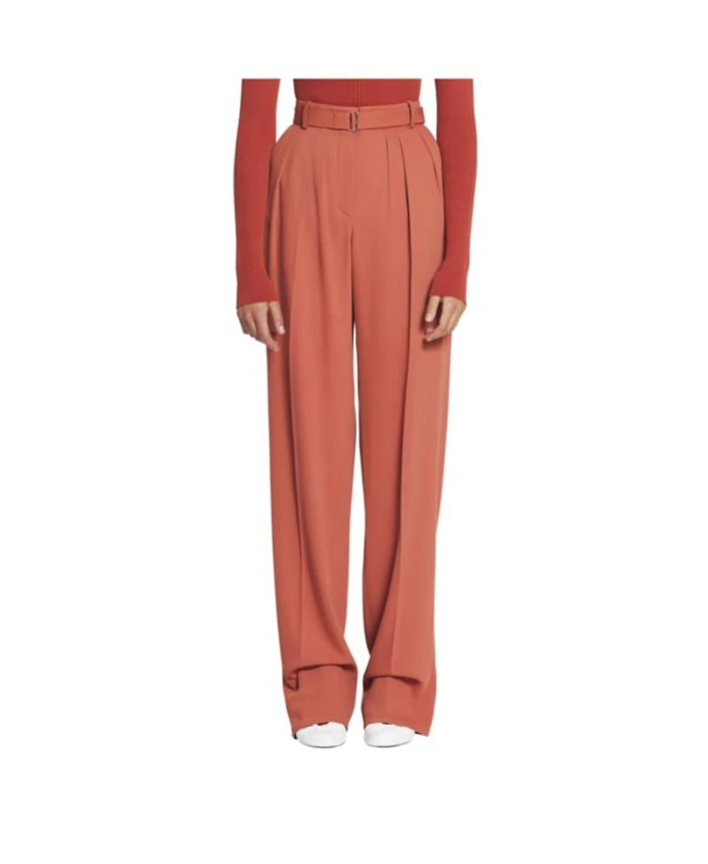 Wool and Viscose like Pants with Darts