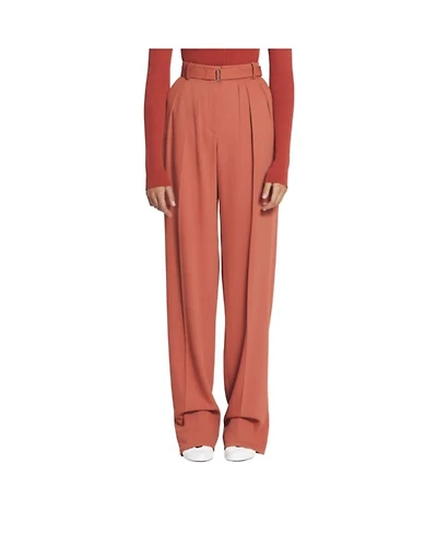 Wool and Viscose like Pants with Darts