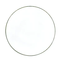 Non Sans Raison Concorde Dinner Plate