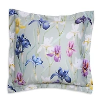 Schlossberg Charlotte Vert Sham, Euro