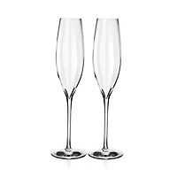 Elegance Optic Classic Champagne Flute, Set of 2