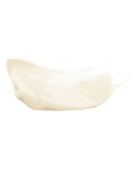 Youth Alchemy Soft Cream 1 oz.