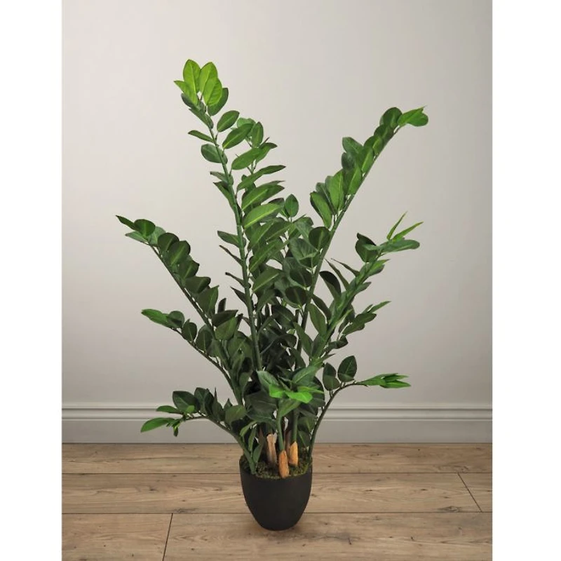 Zamioculcas Faux Plant Arrangement