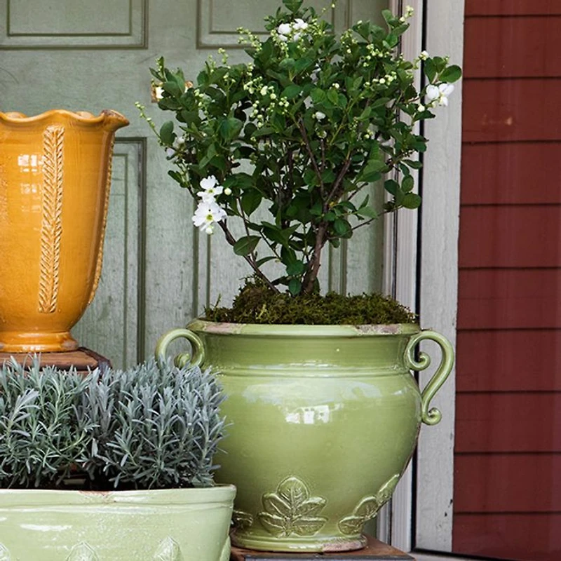 Rustic Garden Linen Basil Round Planter