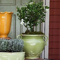 Rustic Garden Linen Basil Round Planter