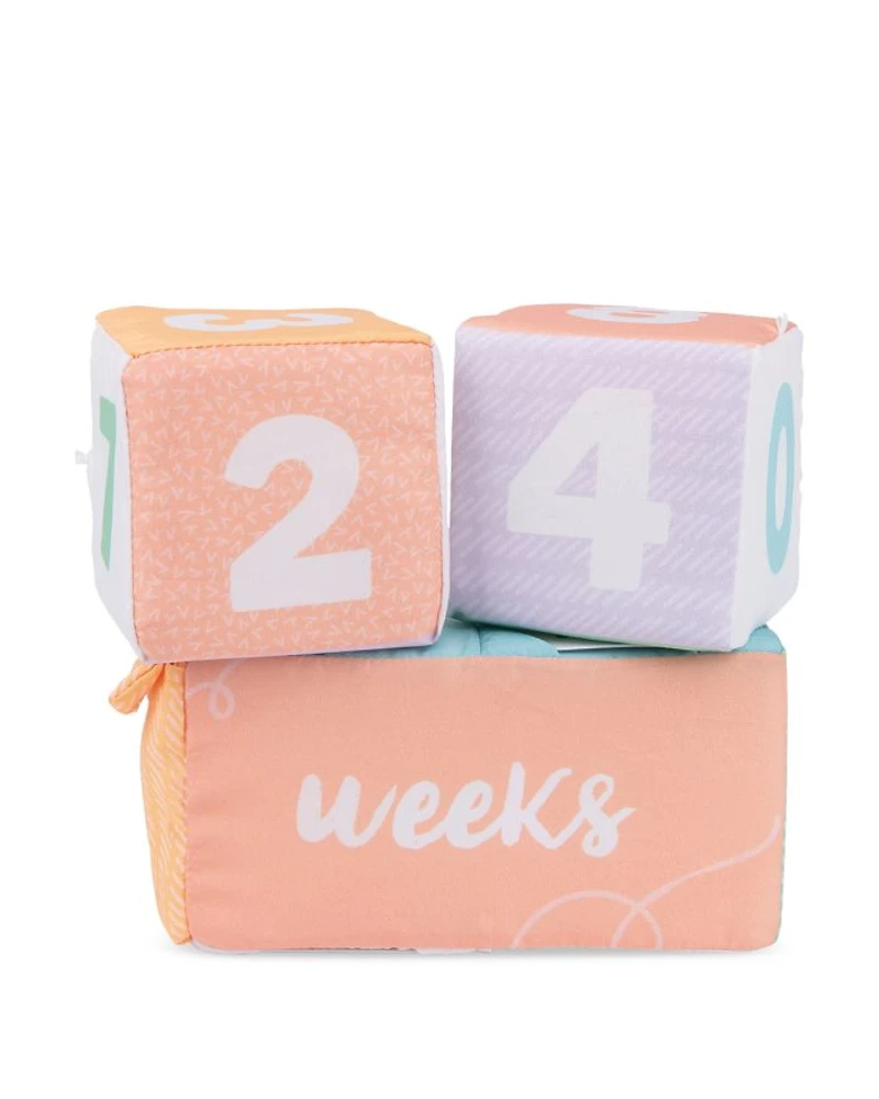 Baby GUND Milestones and Moments Soft Blocks, Plush Photo Prop Sensory Toy Blocks - Ages 0+