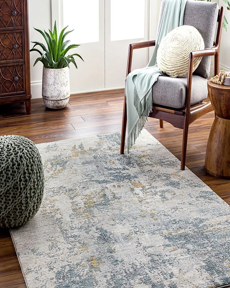 Dresden DRE-2300 Area Rug, 2' x 3'