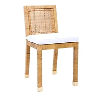 Tov Furniture Amara Rattan Performance Fabric Dining Chair