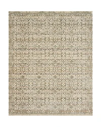 Karastan Divina Bliss Area Rug