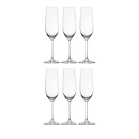 Schott Zwiesel Forte Champagne Flute, Set of 6