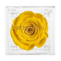 Single Rose Jewelry Box