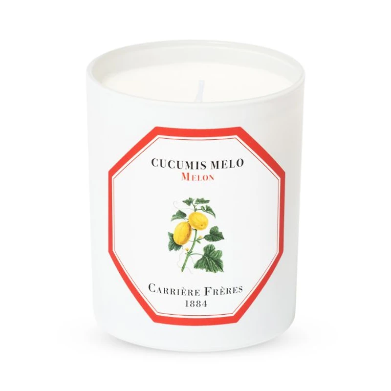 Melon Scented Candle, 6.5 oz.
