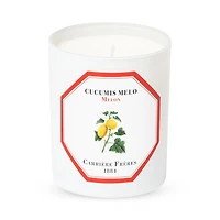 Melon Scented Candle, 6.5 oz.