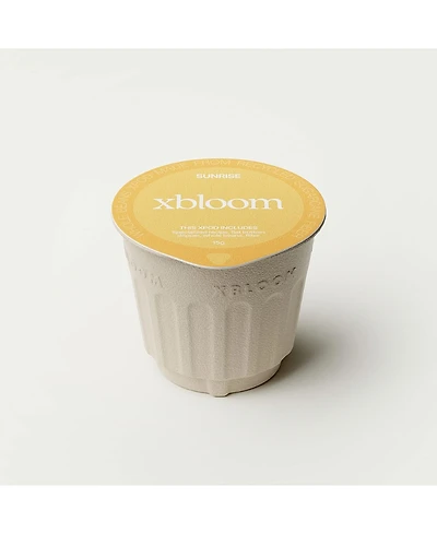 xBloom Sunrise Xpods with 16 pieces for Double Pack