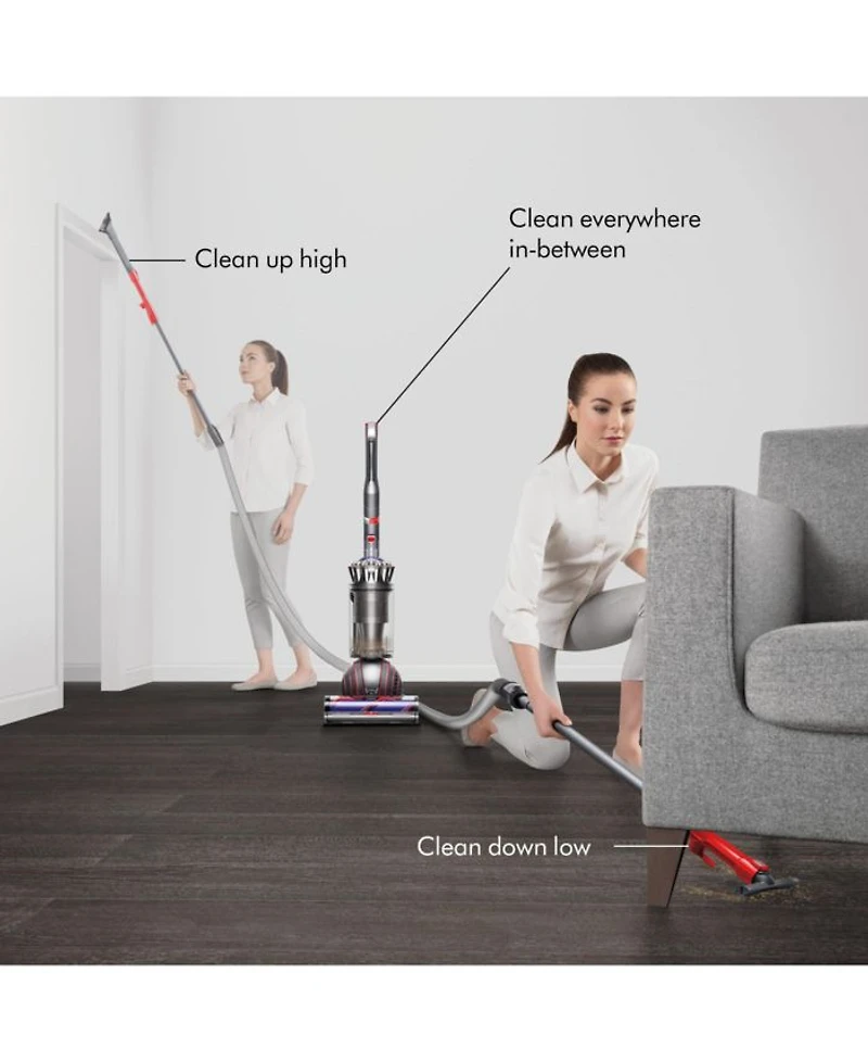 Ball Animal 3 Upright Vacuum