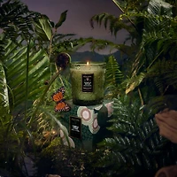 Temple Moss Candle Collection