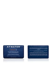 Oil Regulator Facial Cleansing Bar