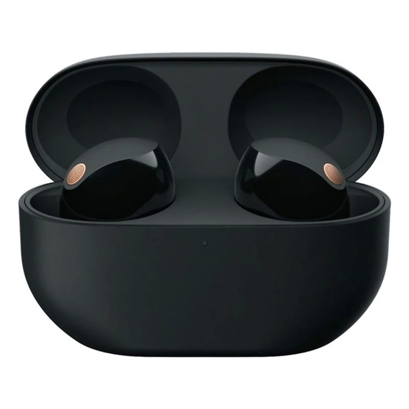 Truly Wireless Noise Canceling Earbuds