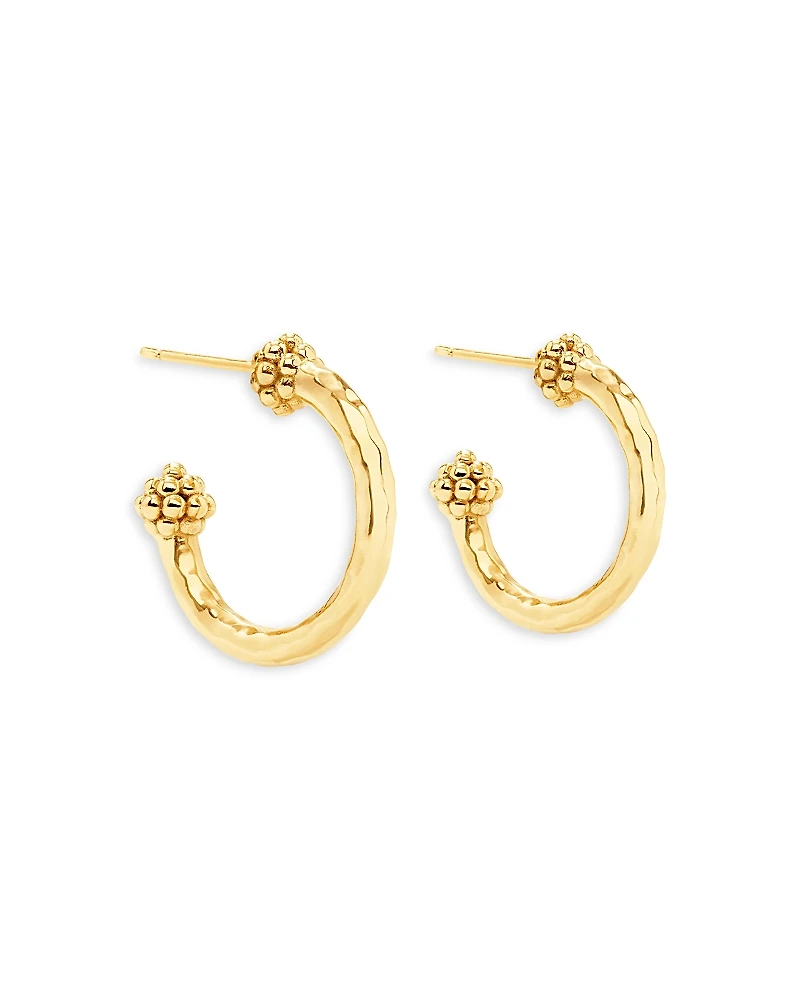 Capucine De Wulf Berry Slice Small Hoop Earrings