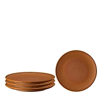 Rosenthal Thomas Clay Salad Plates