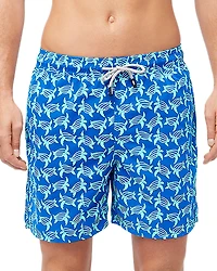 Tom & Teddy 6 Turtle Swim Shorts