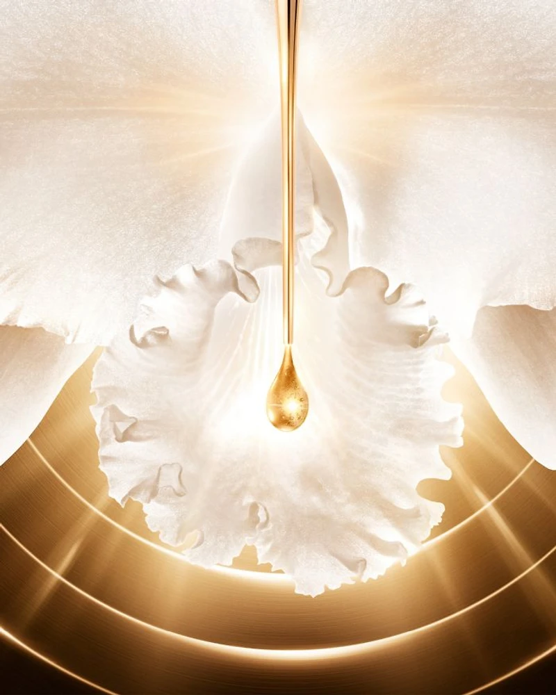Orchidée Impériale Gold Nobile The Cream 1.7 oz.