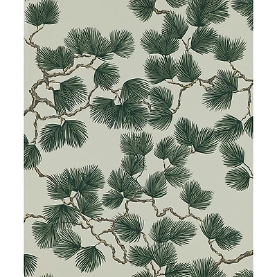 Scalamandre Pine Wallcovering