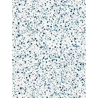 Scalamandre Spatter Wallcovering