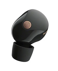 Truly Wireless Noise Canceling Earbuds