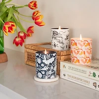 x Flavor Paper Sea Salt Grapefruit Ceramic Scented Candle, 12.5 oz. - Exclusive
