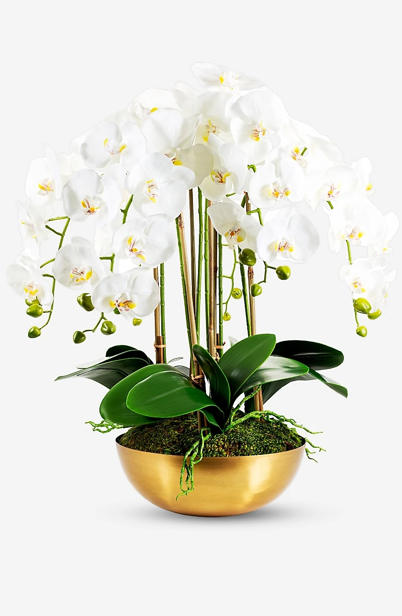 CocoBella Abigail Gold Real Touch Orchid