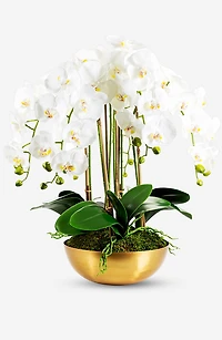 CocoBella Abigail Gold Real Touch Orchid