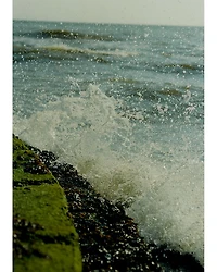 Wood Sage & Sea Salt Exfoliating Shower Gel 6.8 oz.