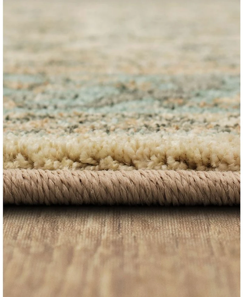 Karastan Euphoria Monaghan Area Rug, 5'3" x 7'10"