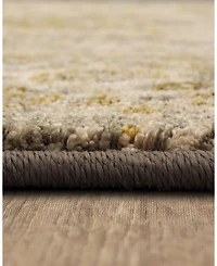 Karastan Touchstone Nore Area Rug, 9'6" x 12'11"
