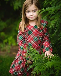 Girls' Long Sleeve Ruffle Dress Holiday Plaid - Little Kid
