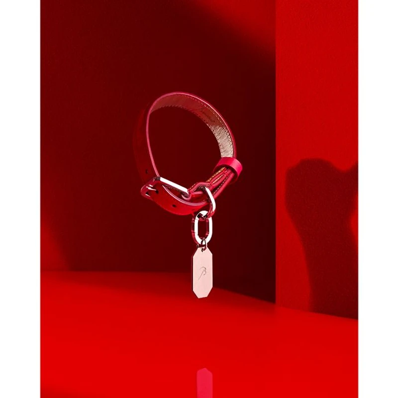 Louxor Allure Pet Collar