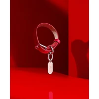 Louxor Allure Pet Collar