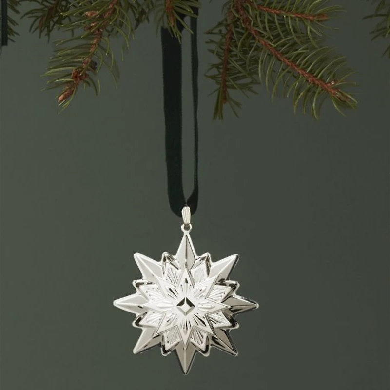 2024 8th Annual Star Ornament