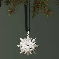 2024 8th Annual Star Ornament