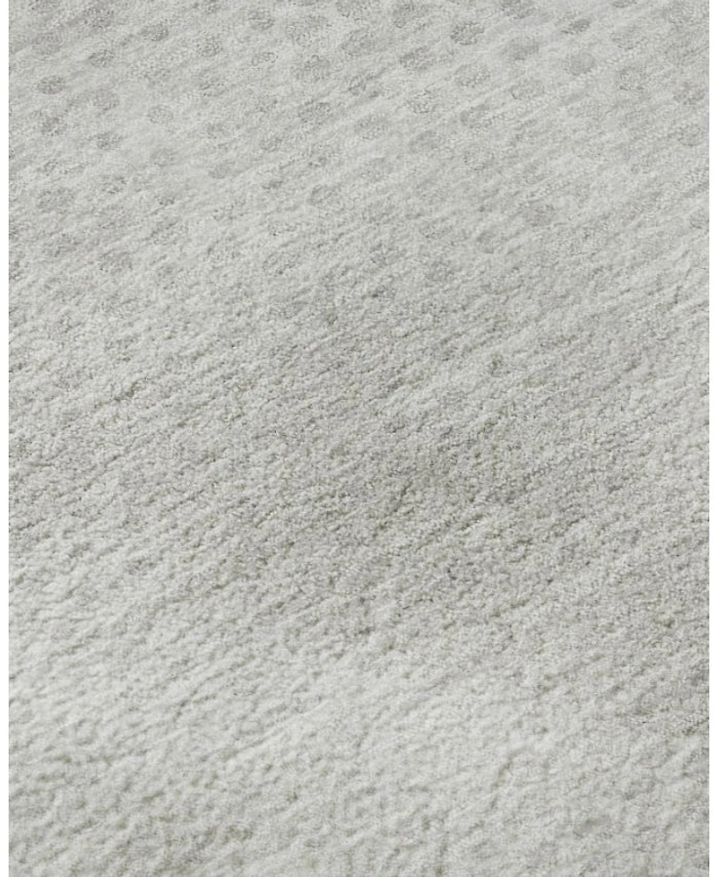 Dalyn Trevi TV4  Area Rug Collection