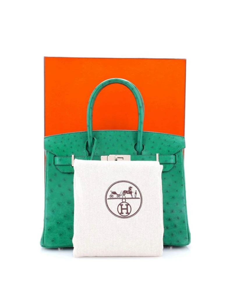 Birkin 30 Handbag Green Ostrich with Palladium Hardware