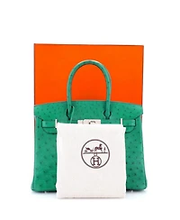 Birkin 30 Handbag Green Ostrich with Palladium Hardware