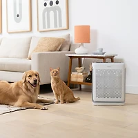 Levoit Pet Air Purifier Vital 200s
